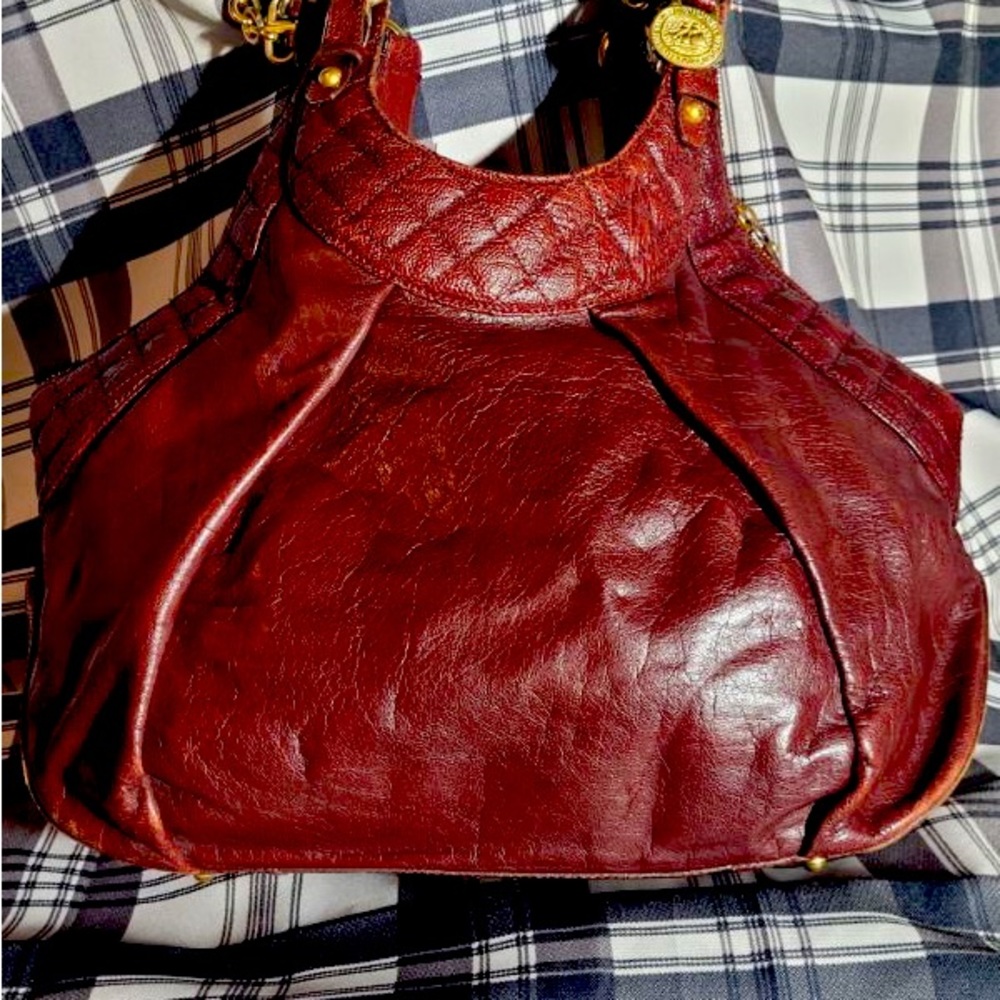 Brahmin - Picture 2 of 6